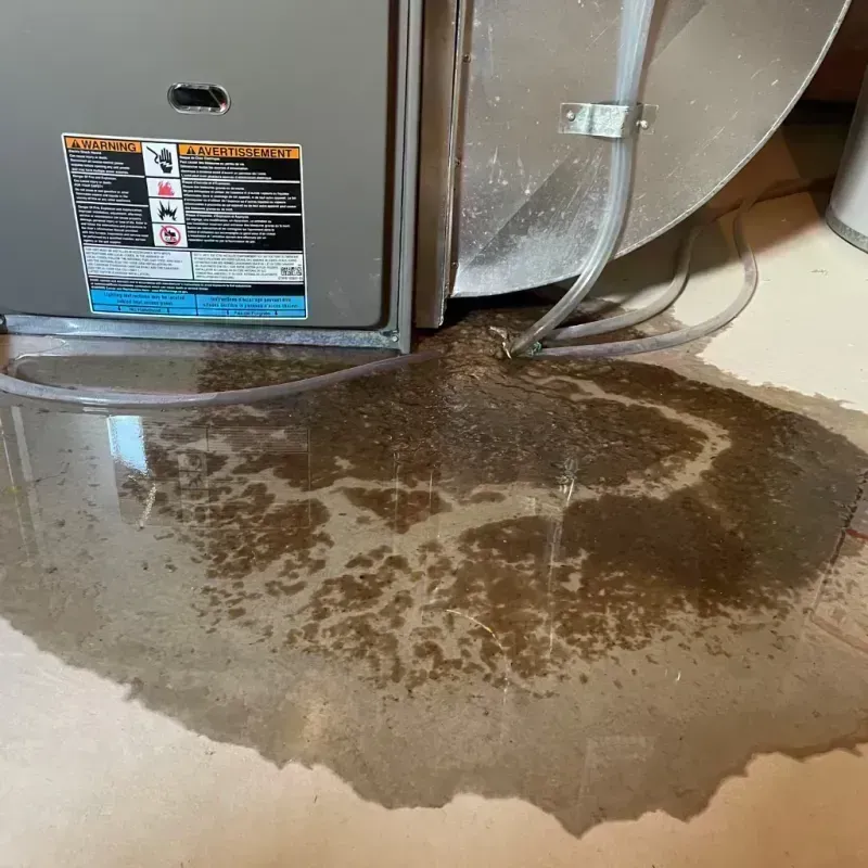 Appliance Leak Cleanup in Jackson, MS